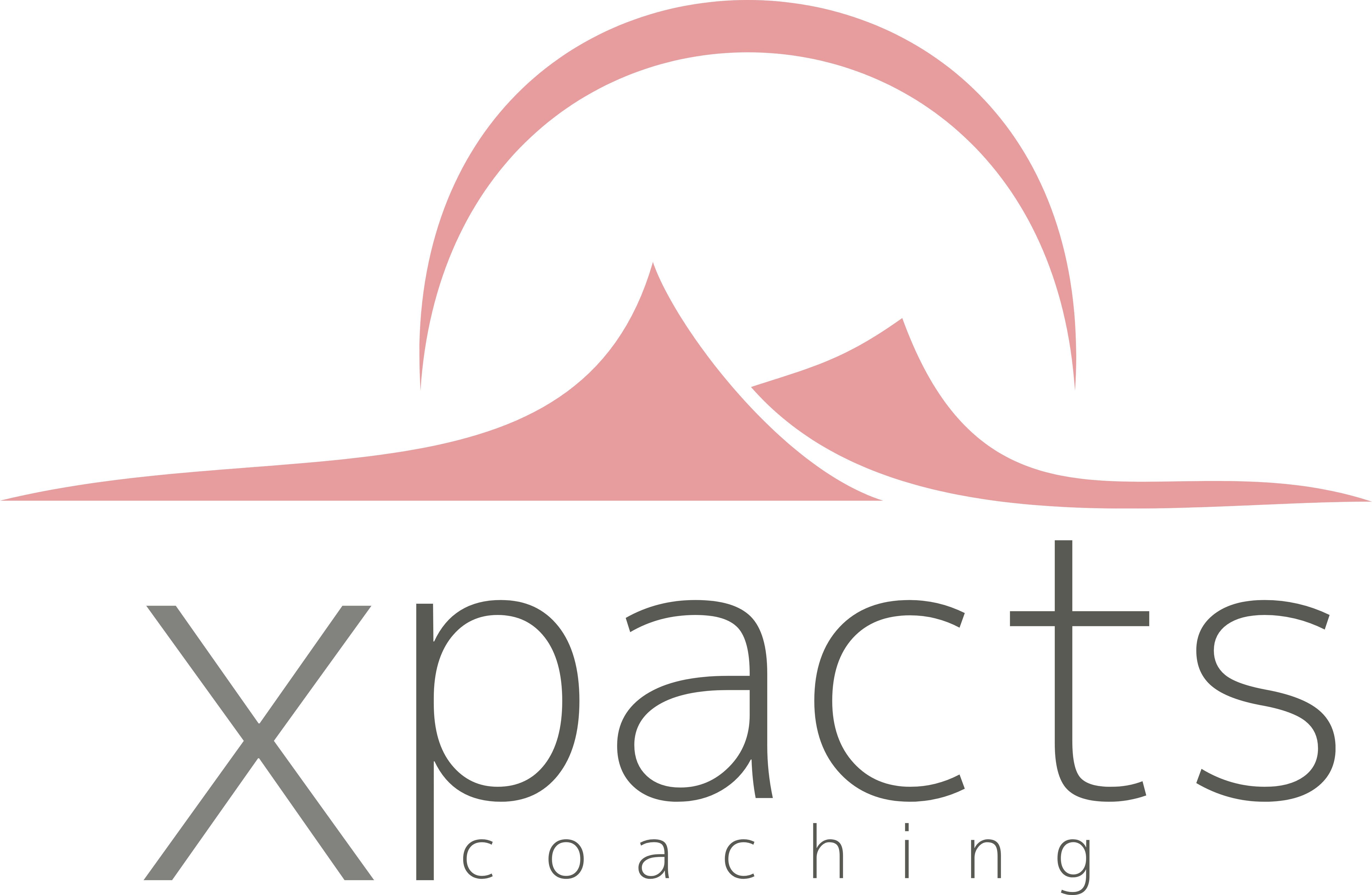 xpacts GmbH - interim management & coaching